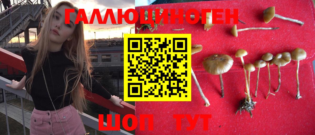 Псилоцибиновые грибы ЛСД  Галлюциногенные грибы MAGIC MUSHROOMS  Вход с VPN  Карабулак 